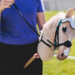 débuter en hobby horsing