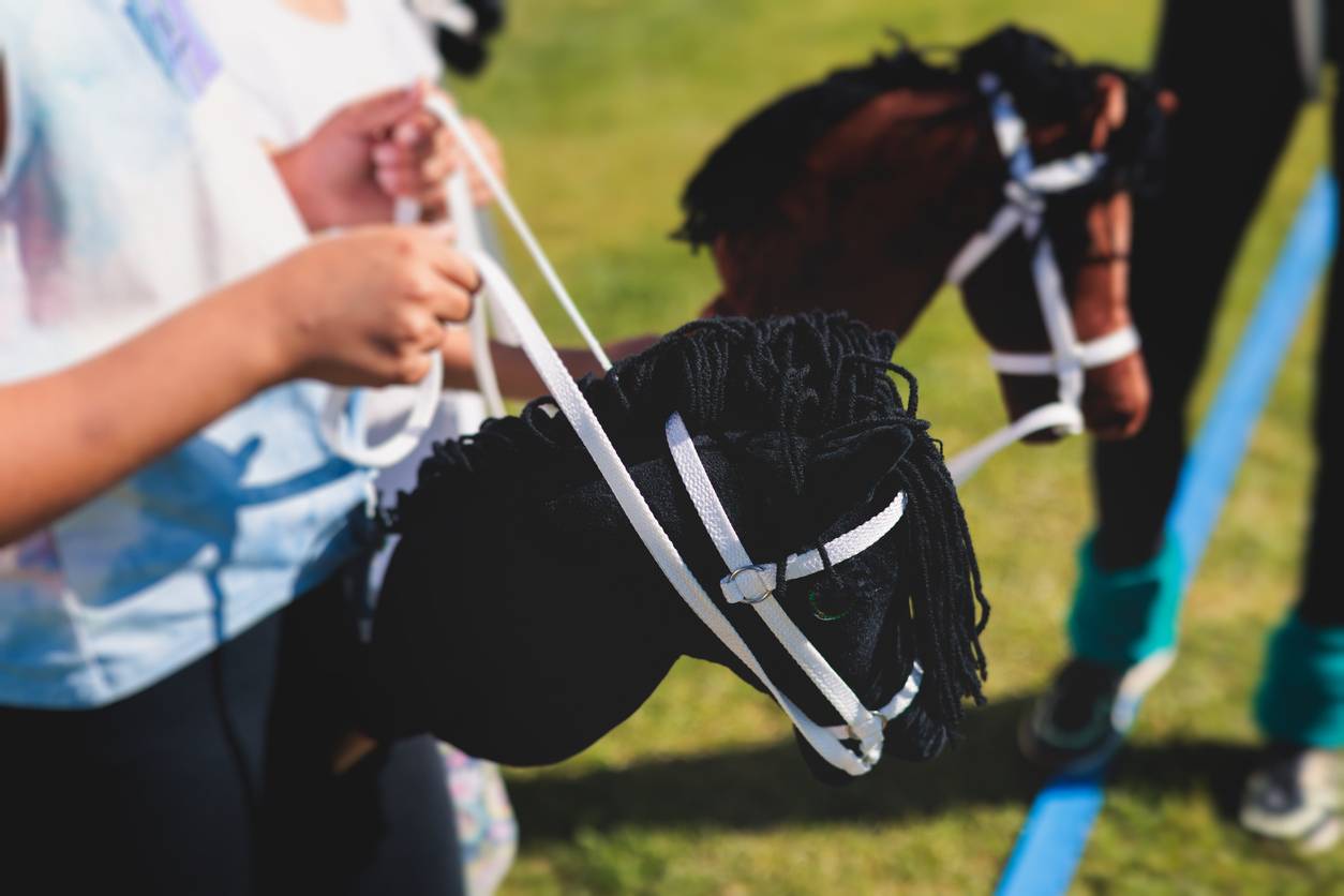 hobby horsing